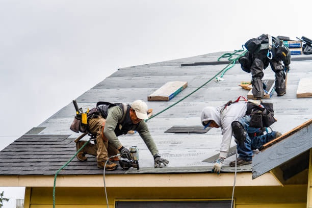 Professional Storm Damage Roof Repair technician working in Shabbona, IL